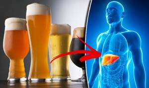 the effect of alcohol on the body