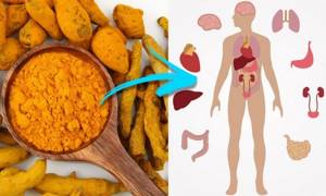 The effect of turmeric on the human body