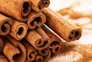 Apple and cinnamon to cleanse the body, how to take it. Apple and cinnamon to cleanse the body 