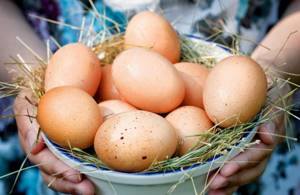 Яйца как источник витамина В12