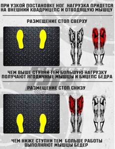 Muscles involved during the leg press, taking into account leg positioning