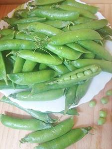 Green peas: fresh pods and young peas