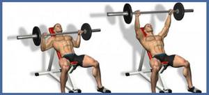 Bent over barbell press