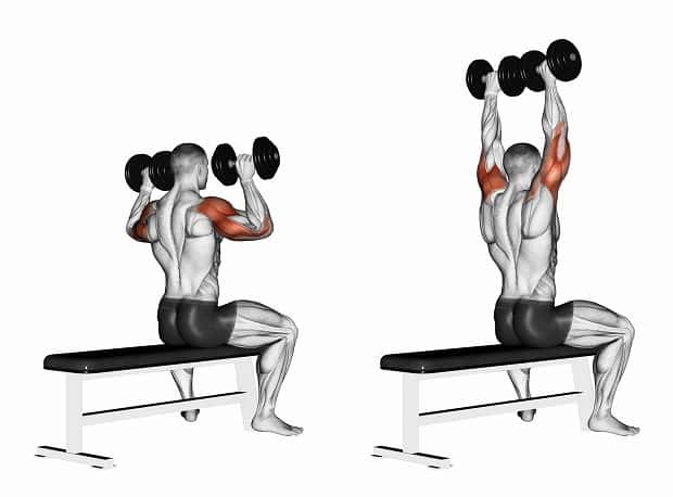 Seated press with dumbbells