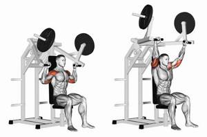 Seated bench press