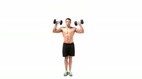 Standing press with dumbbells