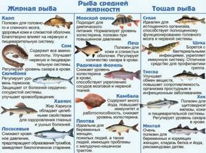 Fat content of fish
