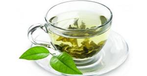 Fat burning product – green tea